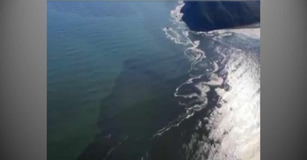 Опубликовано видео гигантского нефтяного пятна в океане возле Камчатки