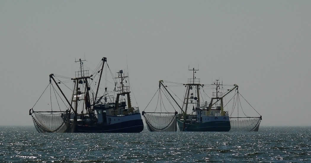 В Литве обеспокоились рыбным промыслом России в Балтийском море