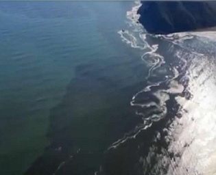  Опубликовано видео гигантского нефтяного пятна в океане возле Камчатки