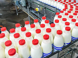 Резкого роста ждать не стоит: Эксперты о прогнозе по ценам на молоко и мясо