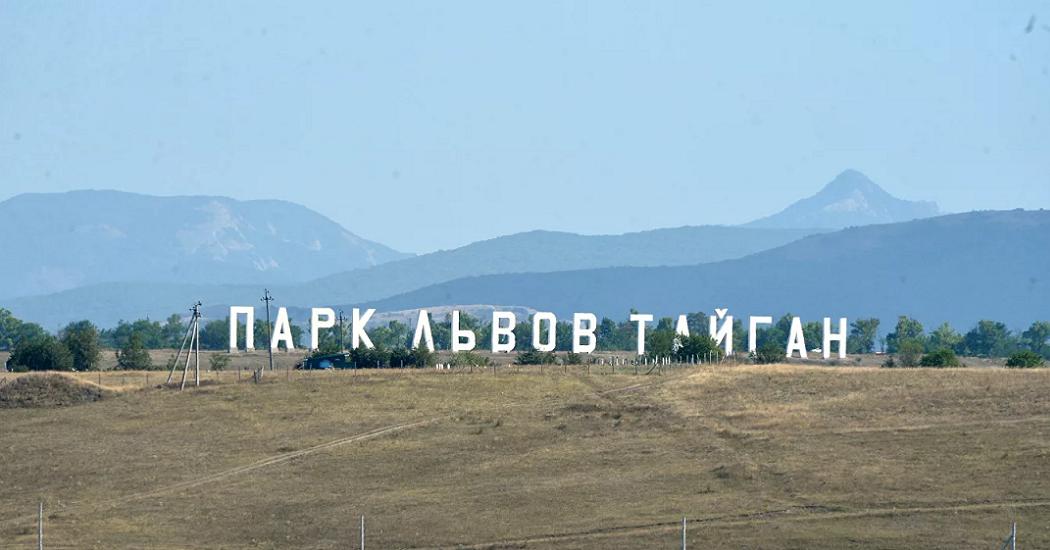 В Крыму арестовали директора парка львов "Тайган"