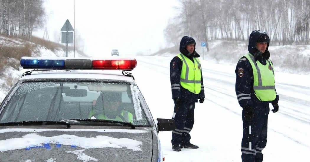В Челябинской области преступники застрелили фермера