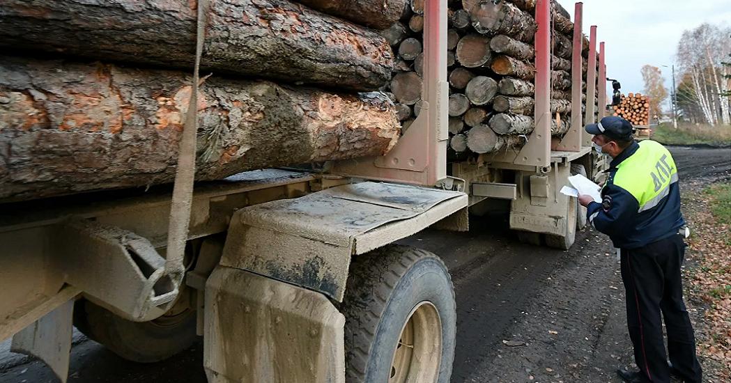 "Невозможно терпеть": Путин прокомментировал запрет вывоза леса-кругляка