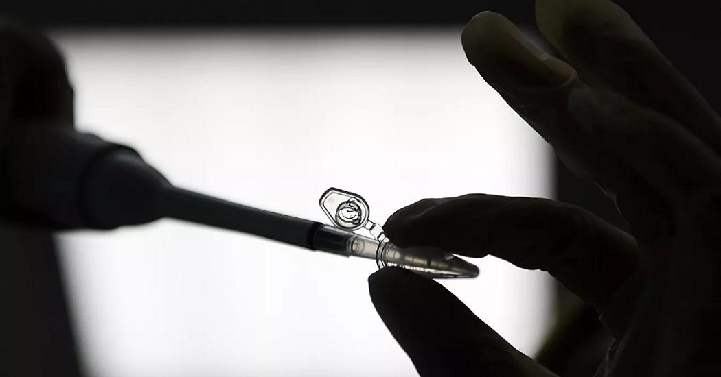 Эксперт оценила лекарство от коронавируса из полыни