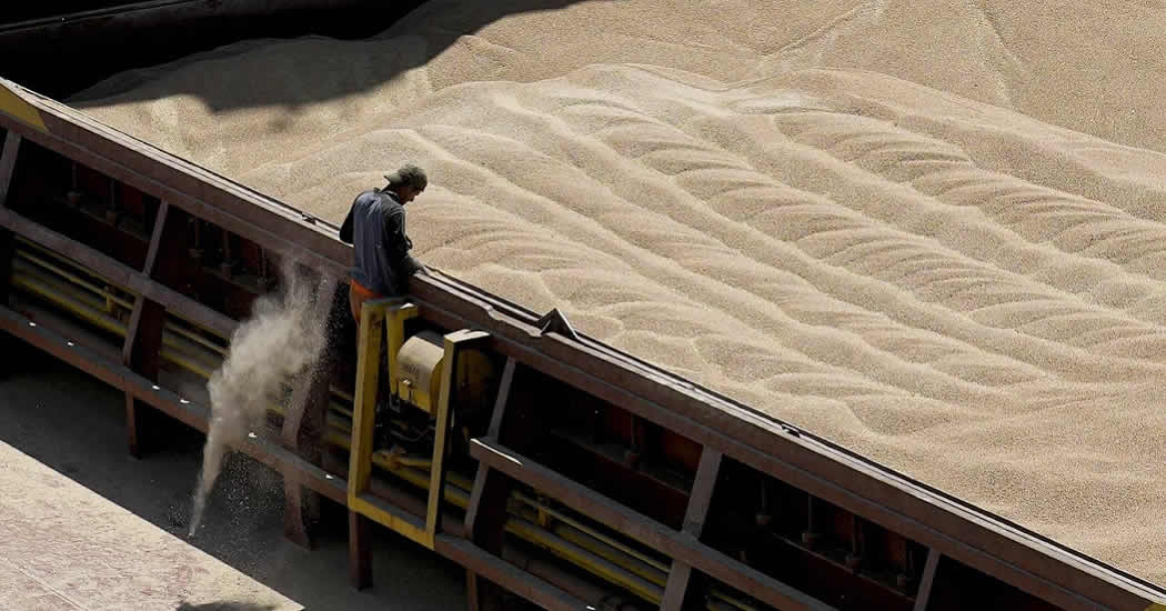 Песков: позиция стран Европы, не выполнивших обязательства по зерновой сделке, бессовестна