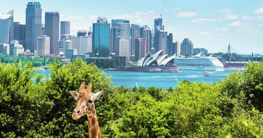 Австралию не планируют открывать для туристов до 2021 года