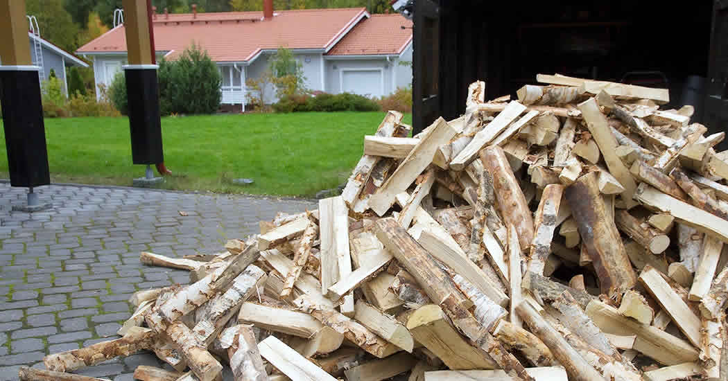 Жители Нидерландов запасаются дровами к зиме из-за цен на газ, пишут СМИ