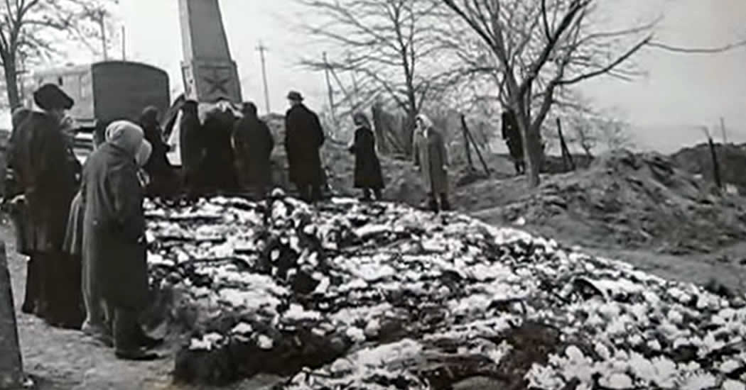 В Сальске перезахоронят останки жертв нацистов, среди которых 60 детей