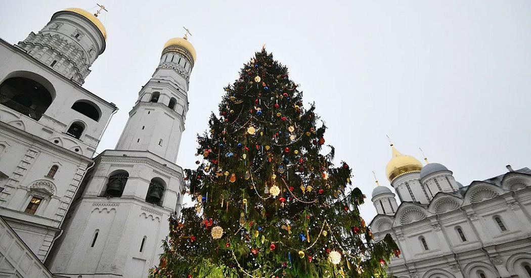Экологи требуют не рубить новогоднюю ель для украшения Кремля