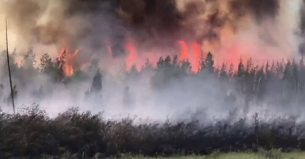 Доброволец погиб при тушении лесного пожара в Якутии