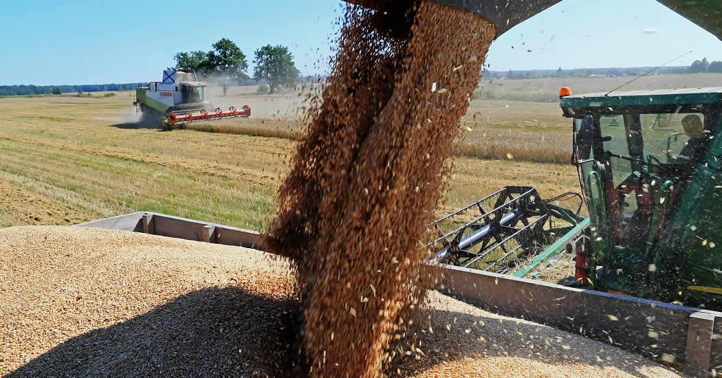 Россия с 1 марта вдвое увеличит пошлины на экспорт пшеницы
