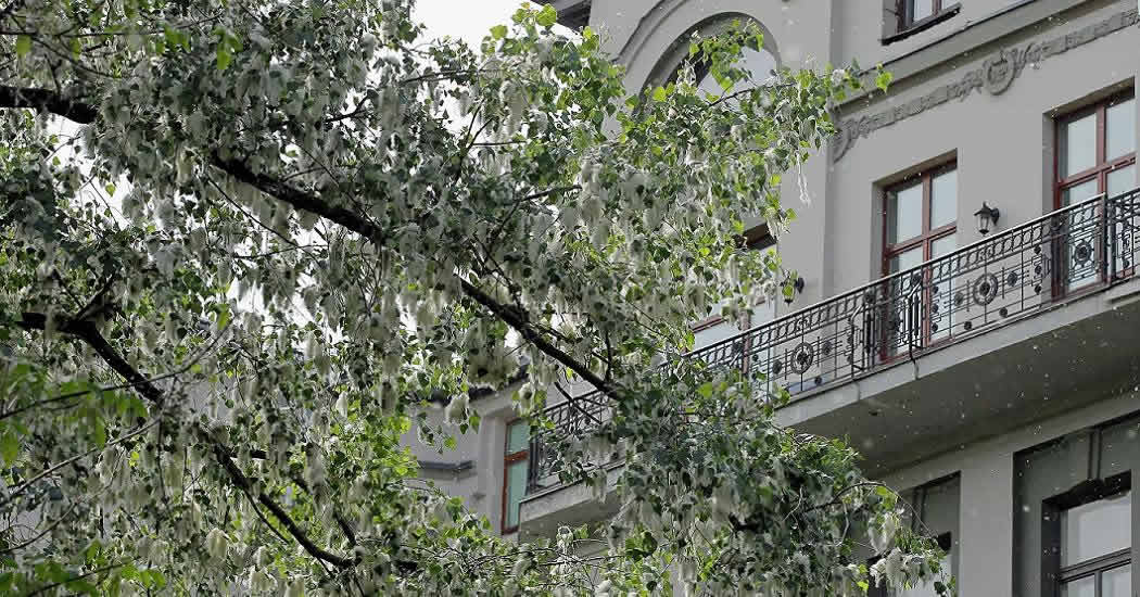 Супруги из Москвы рассказали, как получили штрафы из-за выхода на балкон