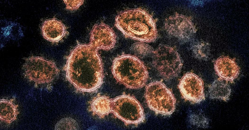 Ученые опровергли один из мифов о коронавирусе