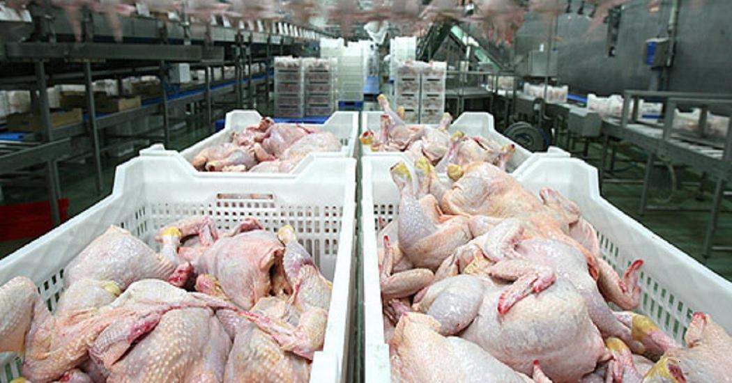 Россельхознадзор частично запретил импорт птицы из Польши