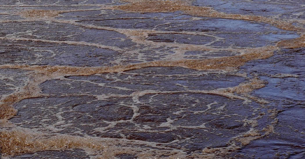 Роспотребнадзор оценил ущерб водохранилищу Воронежа в 700 млн рублей