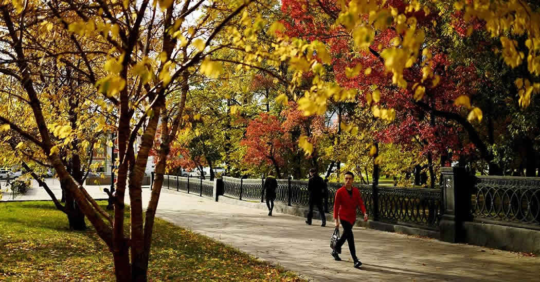 Синоптики предупредили о "тепловой аномалии" в Москве