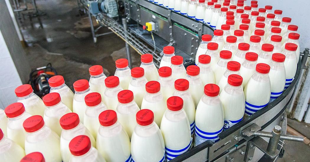 Резкого роста ждать не стоит: Эксперты о прогнозе по ценам на молоко и мясо