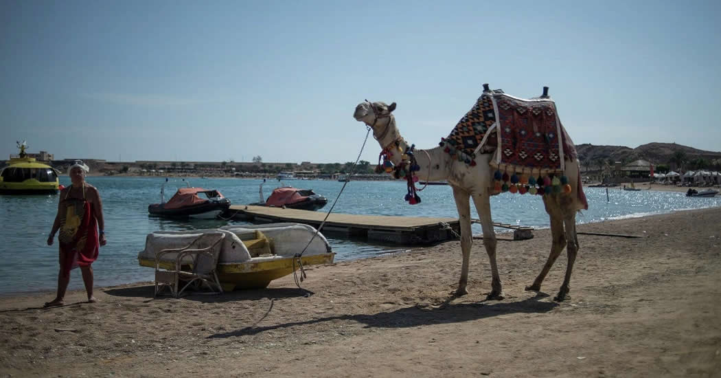 В АТОР объяснили, почему цены на новогодние туры в Египет почти не растут