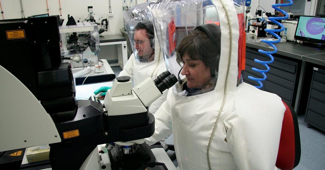 Ученый пришел к неожиданным выводам о происхождении коронавируса