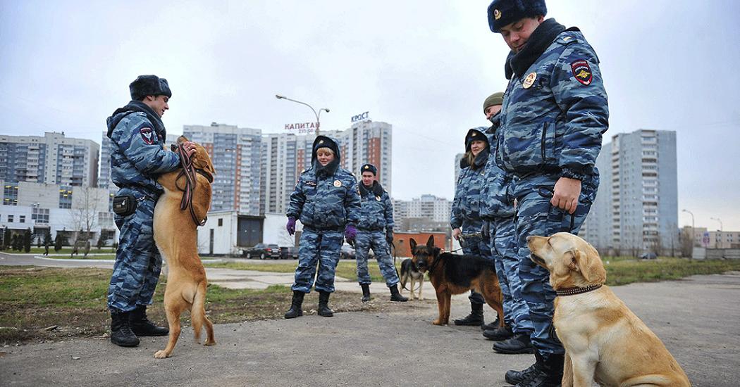 В Москве "заминировали" семь больниц, где лечат от коронавируса