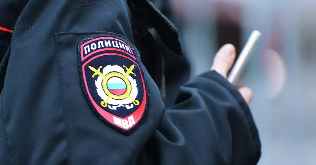 У чиновницы Минздрава украли шубу за 200 тысяч рублей, сообщил источник