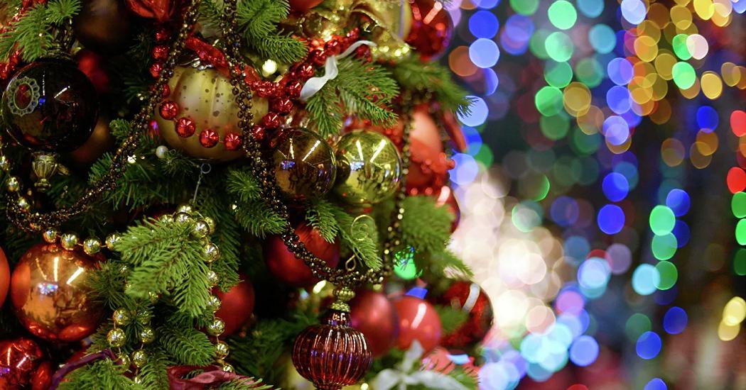 Что ждет жителей Подмосковья: Новый год в кругу семьи и блокировка студенческих карт