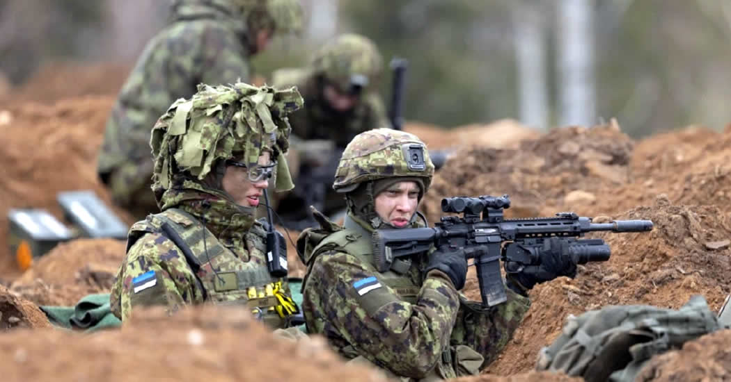 Эстонские СМИ заявили о начале подготовки страны к партизанской войне