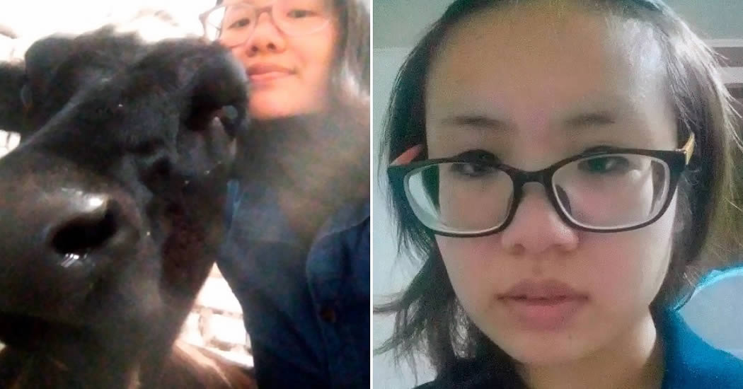 Суд арестовал американку, выгуливавшую теленка на Красной площади