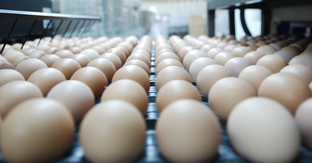 ФАС проверит обоснованность цен на овощи, курятину и яйца