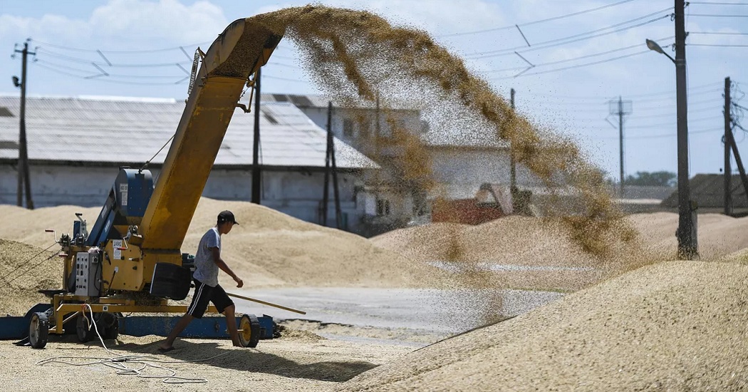 Россия безвозмездно поставит шести странам Африки до 50 тысяч тонн зерна