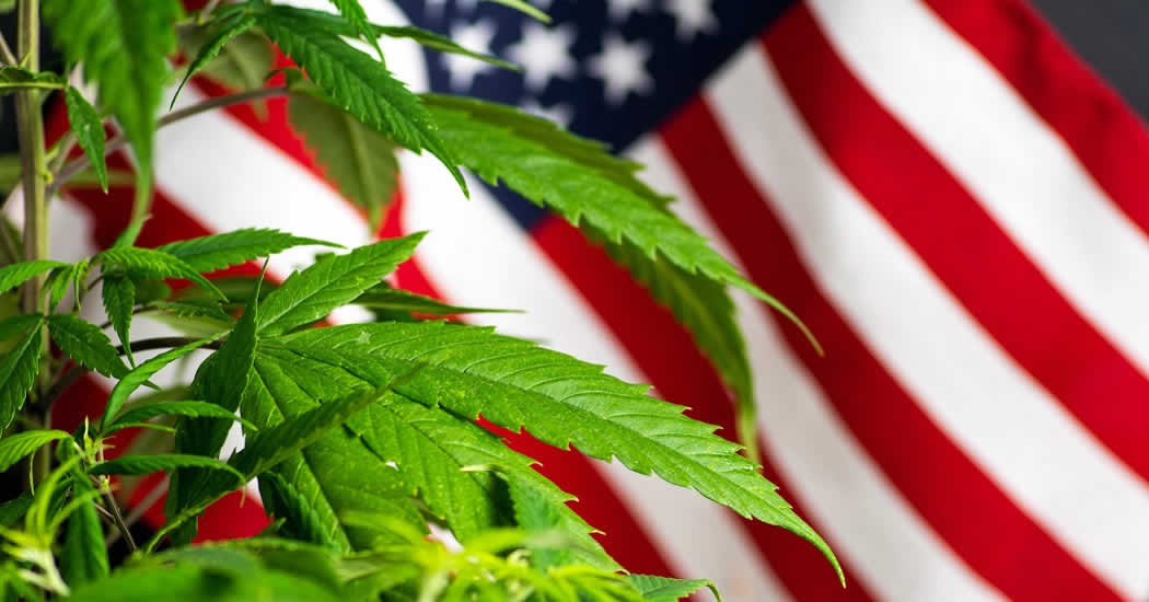 Палата представителей США проголосовала за декриминализацию марихуаны
