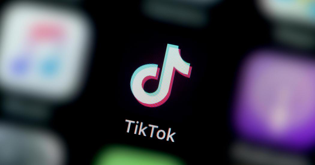 Названы богатейшие русскоязычные блогеры в TikTok