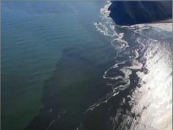 Опубликовано видео гигантского нефтяного пятна в океане возле Камчатки