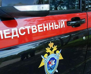  Пропавшую в Костромской области школьницу нашли в доме местного жителя