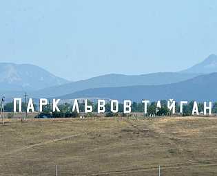  В Крыму арестовали директора парка львов "Тайган"