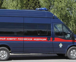  В Пермском крае пьяный лихач на угнанной машине насмерть сбил двух девочек