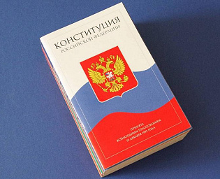  Положение о поддержке материнства и детства могут внести в Конституцию
