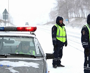  В Челябинской области преступники застрелили фермера