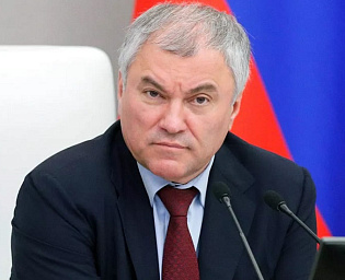  Володин предложил конфисковывать имущество у тех, кто оскорбляет Россию