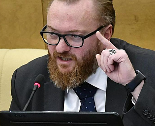  Милонов предложил сослать Водонаеву на остров за слова о маткапитале