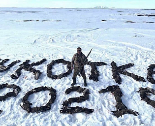  На Чукотке охотник снялся на фоне надписи из сотни убитых гусей
