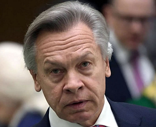  Пушков призвал преподать урок Молдавии в ситуации с газом