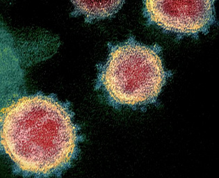  Названы главные "мишени" коронавируса в организме человека