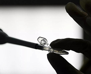  Эксперт оценила лекарство от коронавируса из полыни