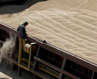  Песков: позиция стран Европы, не выполнивших обязательства по зерновой сделке, бессовестна