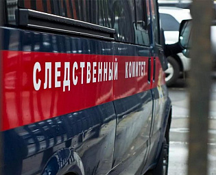  Найденная в Новосибирске девочка не шла домой из-за ссоры с родителями