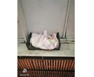  В Воронеже, в подъезд, подкинули десятидневную девочку