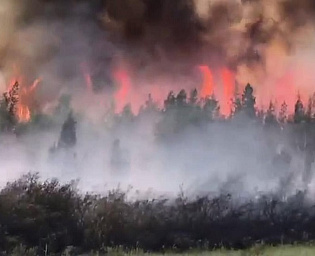  Доброволец погиб при тушении лесного пожара в Якутии