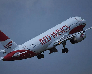  Бастрыкин поручил завести дело против авиакомпании Red Wings