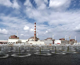  В Совфеде призвали срочно законсервировать Запорожскую АЭС